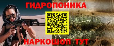дурь Бердск