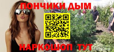 дурь Бердск