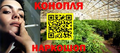 дурь Бердск